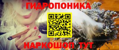 хмурый Обь