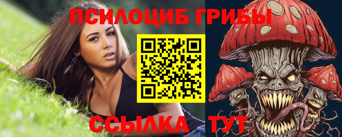 Галлюциногенные грибы GOLDEN TEACHER Тихорецк